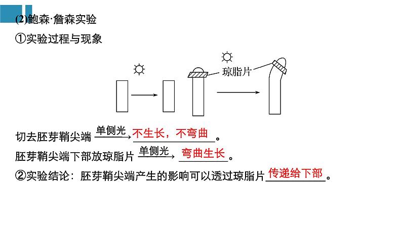 高中生物《第31讲植物的激素调节》课件04