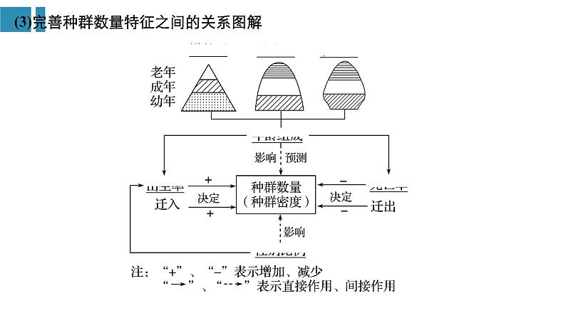 高中生物《第32讲种群的特征和数量变化》课件06