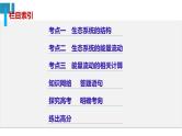 高中生物《第34讲生态系统的结构与能量流动》课件