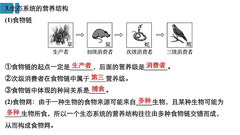 高中生物《第34讲生态系统的结构与能量流动》课件05
