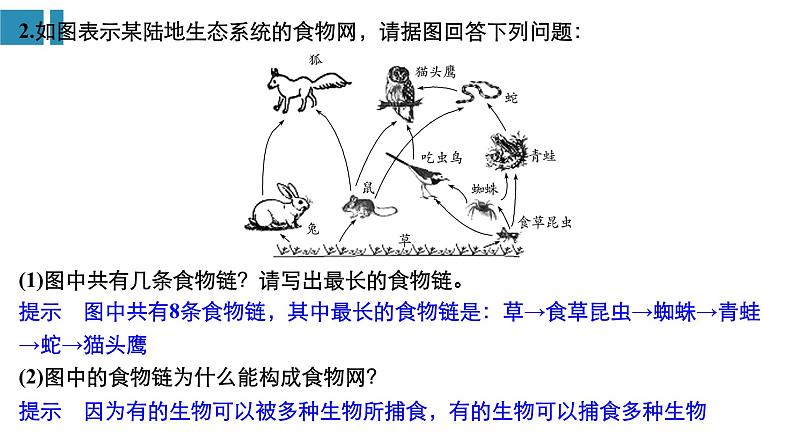 高中生物《第34讲生态系统的结构与能量流动》课件08