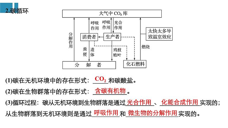 高中生物《第35讲生态系统的物质循环、信息传递及其稳定性》课件04