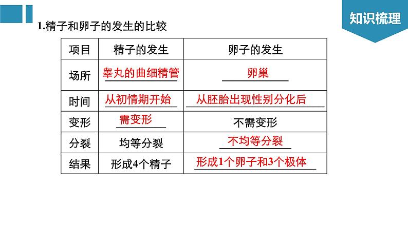 高中生物《第39讲胚胎工程与生物技术的安全性和伦理问题》课件03