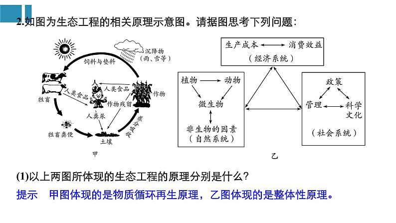 高中生物《第40讲生态工程》课件06