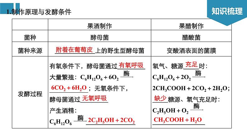 高中生物《第41讲发酵技术实践》课件03