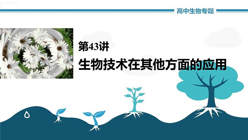 高中生物《第43讲生物技术在其他方面的应用》课件01