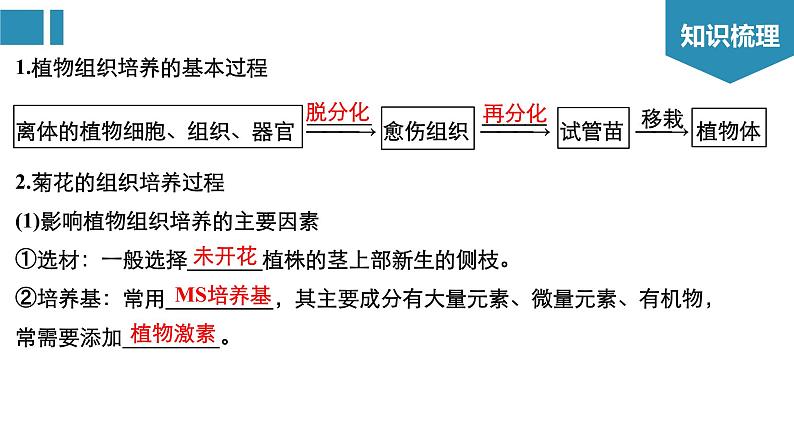 高中生物《第43讲生物技术在其他方面的应用》课件03