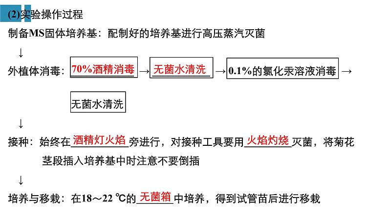 高中生物《第43讲生物技术在其他方面的应用》课件04