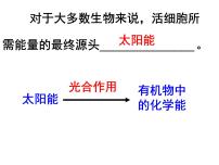 2022届高中生物一轮复习生物课件：3.3能量之源—光与光合作用 (3份打包)