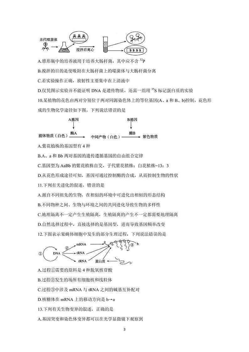 2022届山西省大同市灵丘县高三上学期8月开学摸底联考 生物  PDF版练习题03