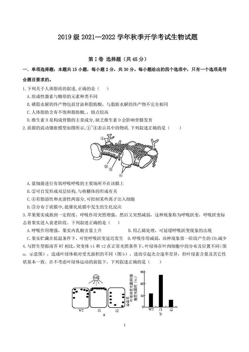 2022届山东省师范大学附属中学高三上学期开学考试生物试题 PDF版01