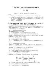 2022届广东省高三上学期开学阶段性质量检测生物试题 PDF版