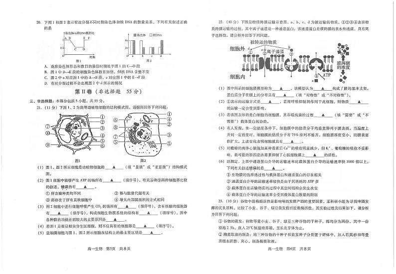 2020-2021学年江苏省常熟市高一下学期学生寒假自主学习调查生物试题 PDF版03