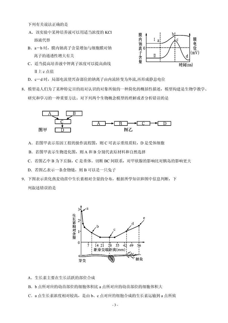 2020届山东省泰安肥城市高三适应性训练（三）生物试题 PDF版03