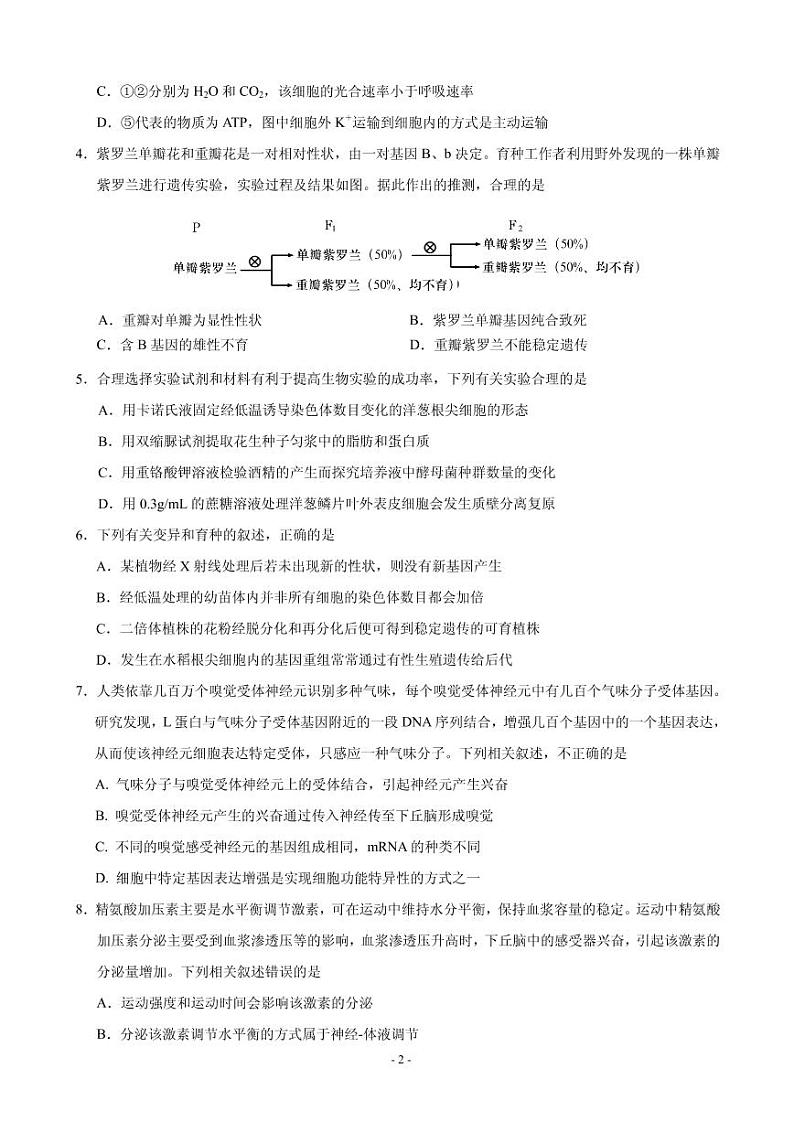 2020届山东省泰安肥城市高三适应性训练（二）生物试题 PDF版02