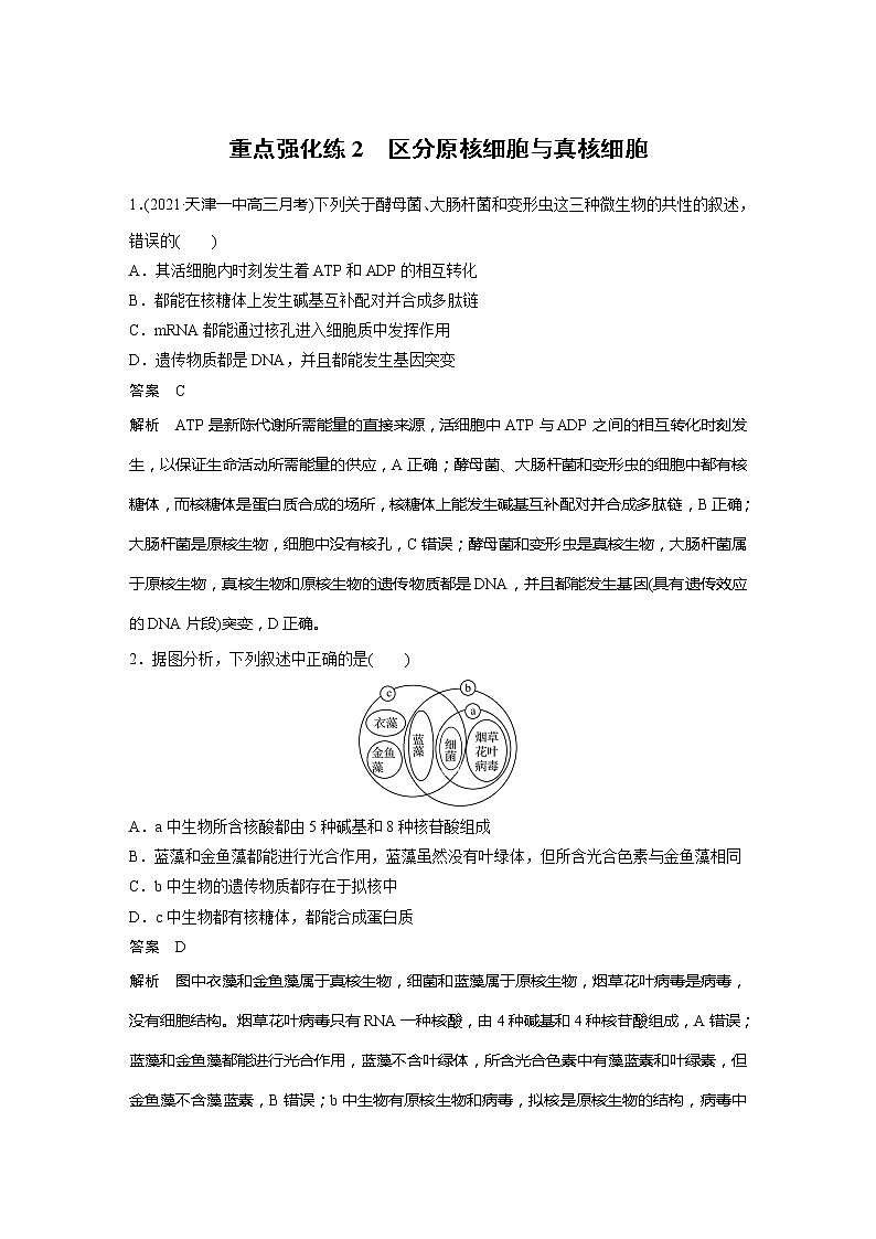 2022届高考生物一轮复习专题训练2　区分原核细胞与真核细胞　（解析版）01