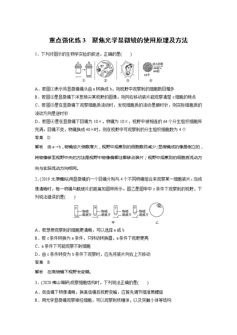 2022届高考生物一轮复习专题训练3　聚焦光学显微镜的使用原理及方法　（解析版）第1页