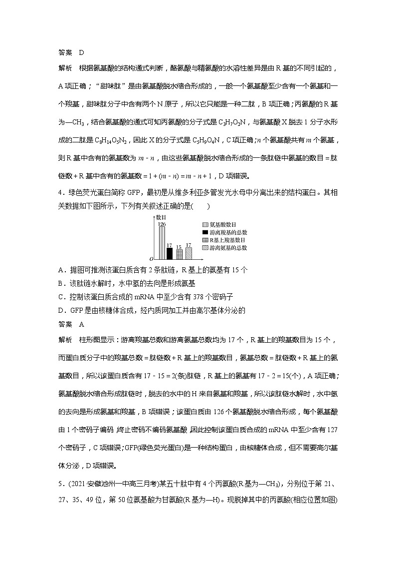 2022届高考生物一轮复习专题训练6　突破蛋白质的相关计算　（解析版）第2页