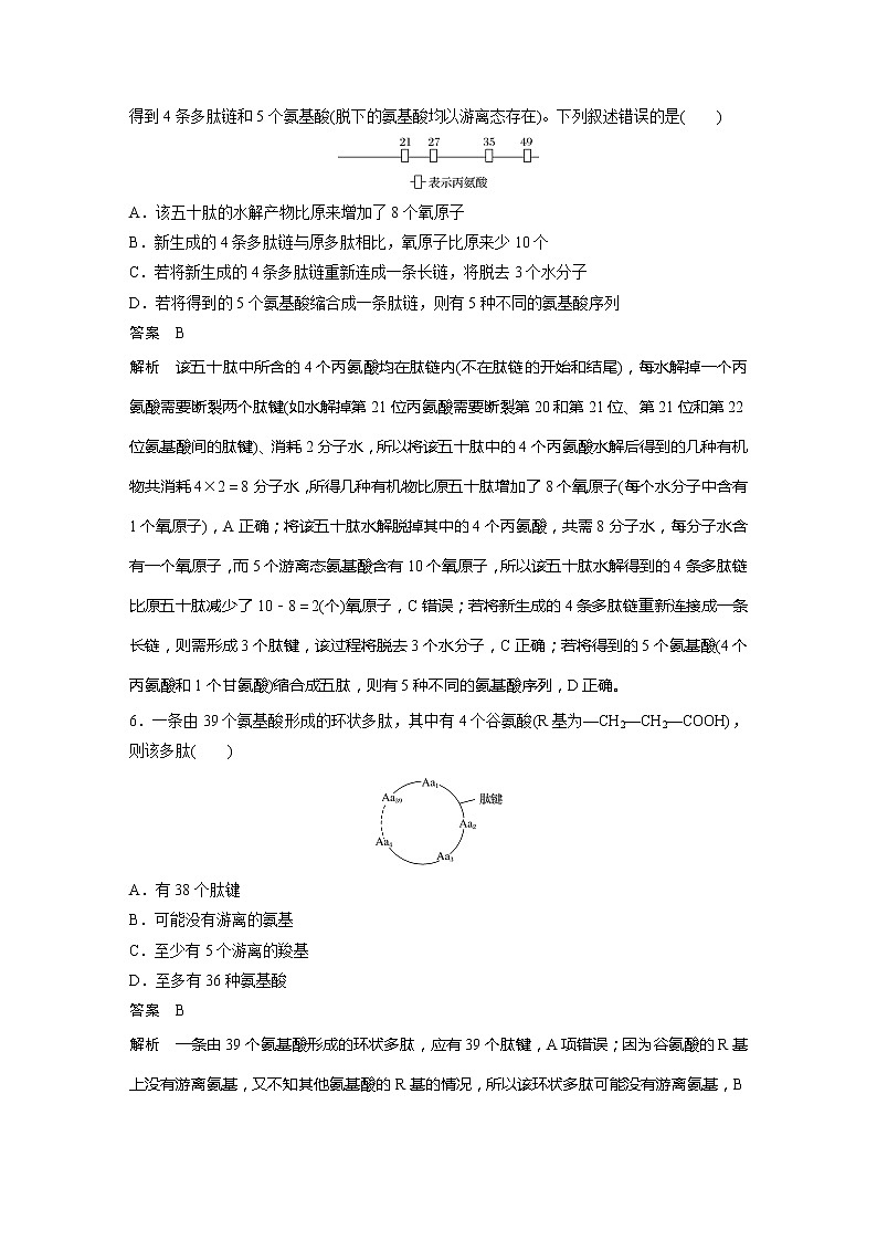 2022届高考生物一轮复习专题训练6　突破蛋白质的相关计算　（解析版）第3页