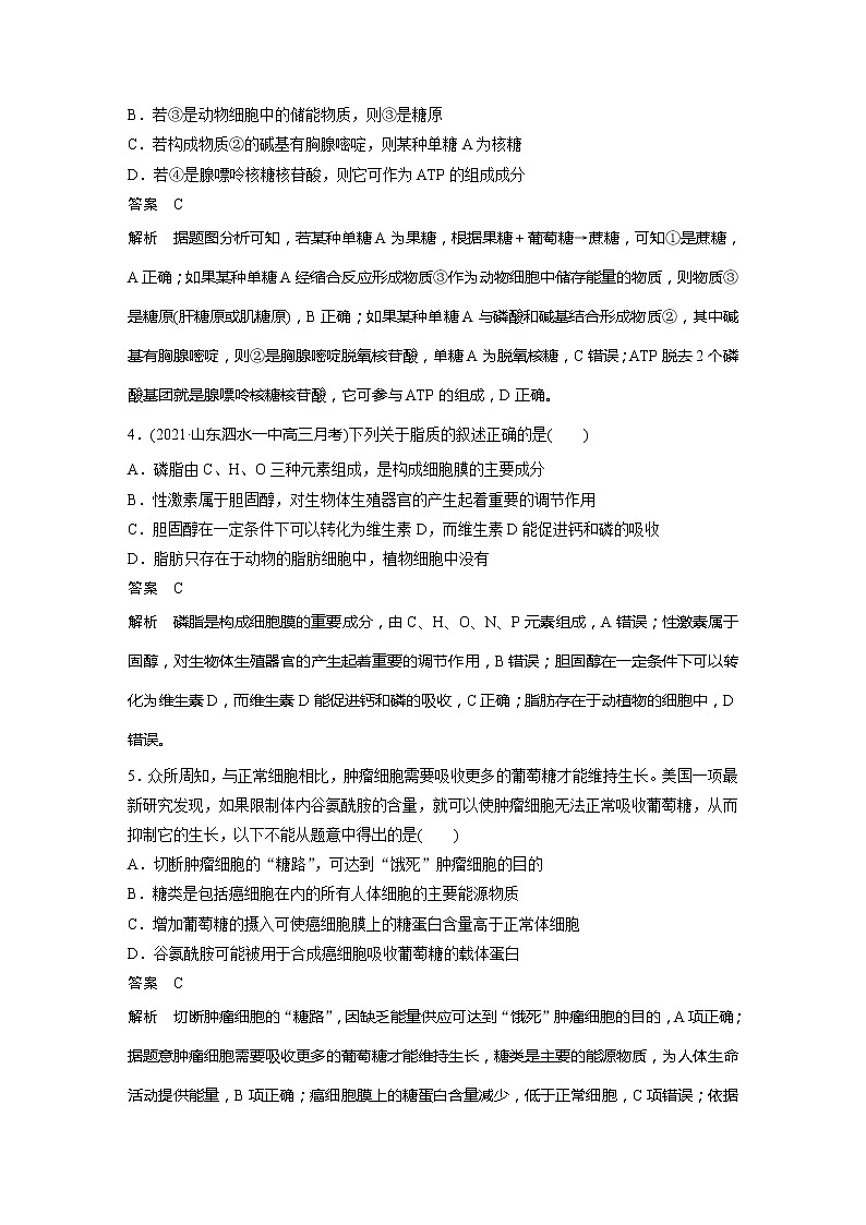 2022届高考生物一轮复习专题训练7　梳理组成细胞的糖类和脂质（解析版）第2页