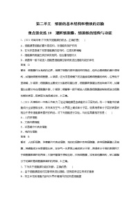 2022届高考生物一轮复习专题训练10　理解细胞膜、细胞核的结构与功能（解析版）