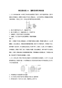 2022届高考生物一轮复习专题训练14　理解渗透作用原理　（解析版）