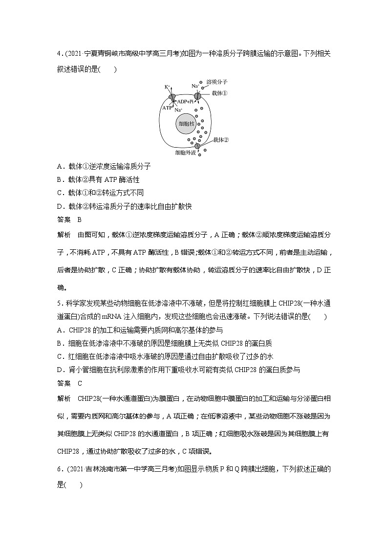 2022届高考生物一轮复习专题训练16　辨析物质出入细胞的方式（解析版）第2页