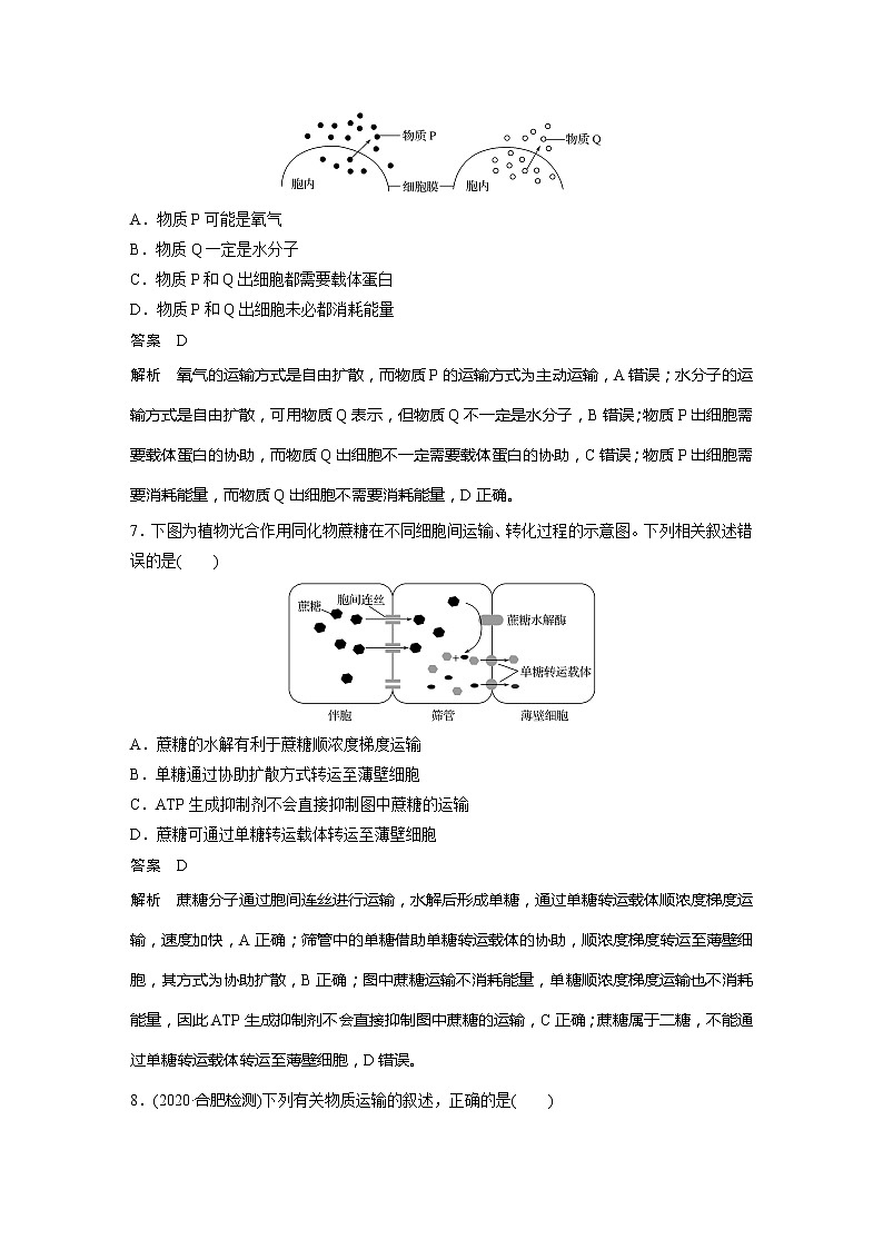 2022届高考生物一轮复习专题训练16　辨析物质出入细胞的方式（解析版）第3页