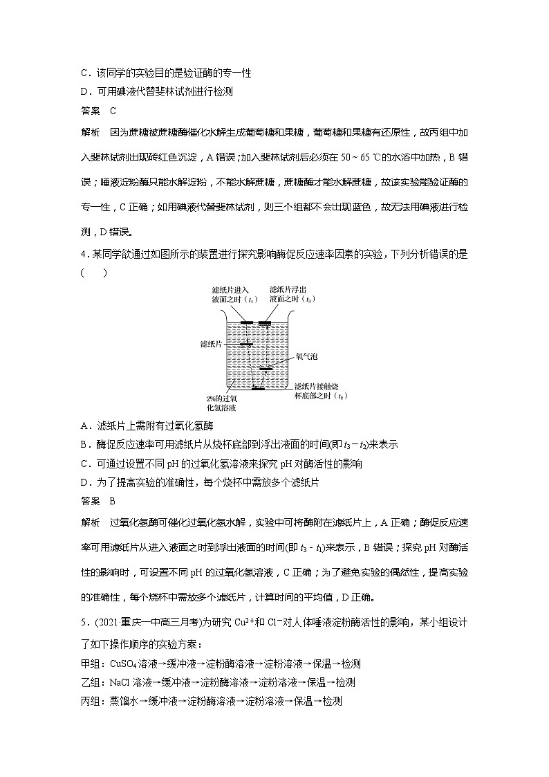 2022届高考生物一轮复习专题训练18　突破与酶相关的探究实验（解析版）第2页