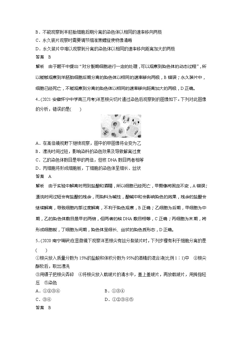 2022届高考生物一轮复习专题训练28　聚焦观察植物细胞有丝分裂的实验（解析版）第2页