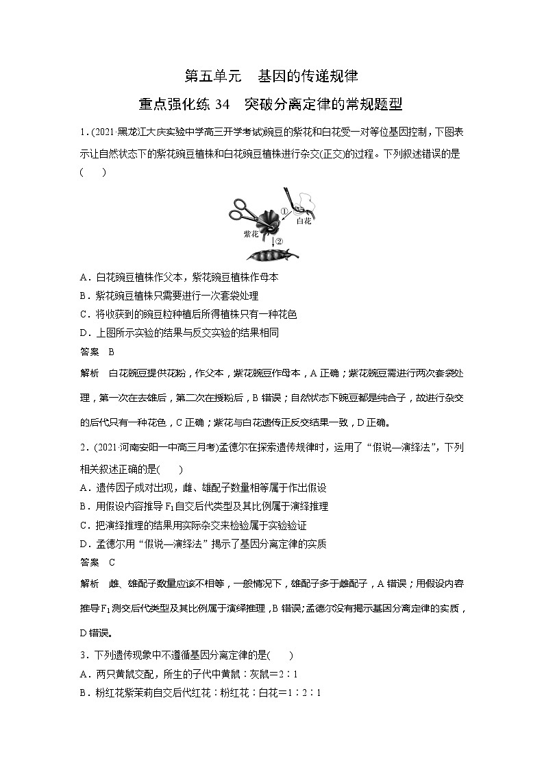 2022届高考生物一轮复习专题训练34　突破分离定律的常规题型（解析版）第1页
