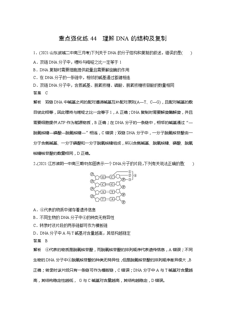 2022届高考生物一轮复习专题训练44　理解DNA的结构及复制　（解析版）第1页