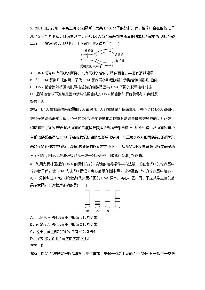 2022届高考生物一轮复习专题训练44　理解DNA的结构及复制　（解析版）第3页
