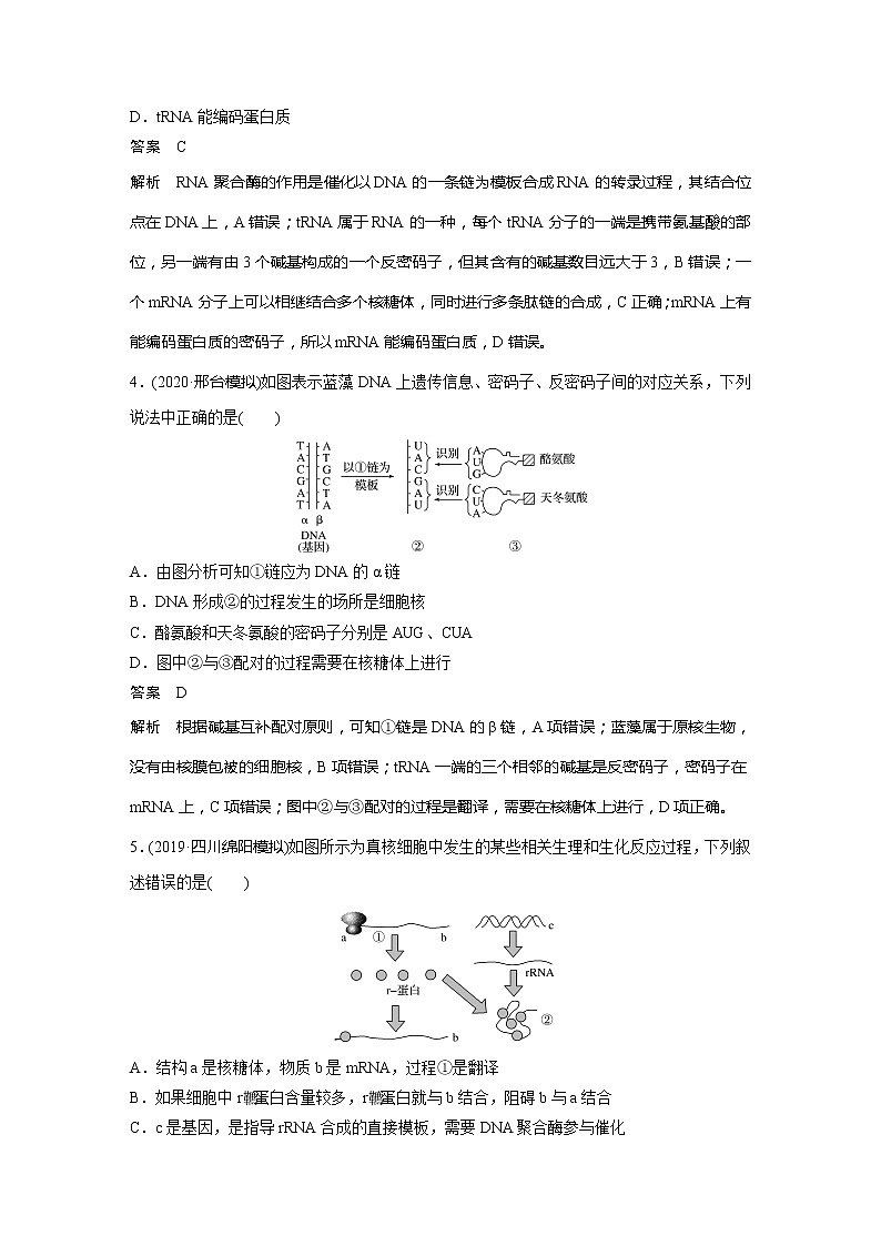 2022届高考生物一轮复习专题训练47　透析真核细胞与原核细胞基因的表达机制　（解析版）第2页