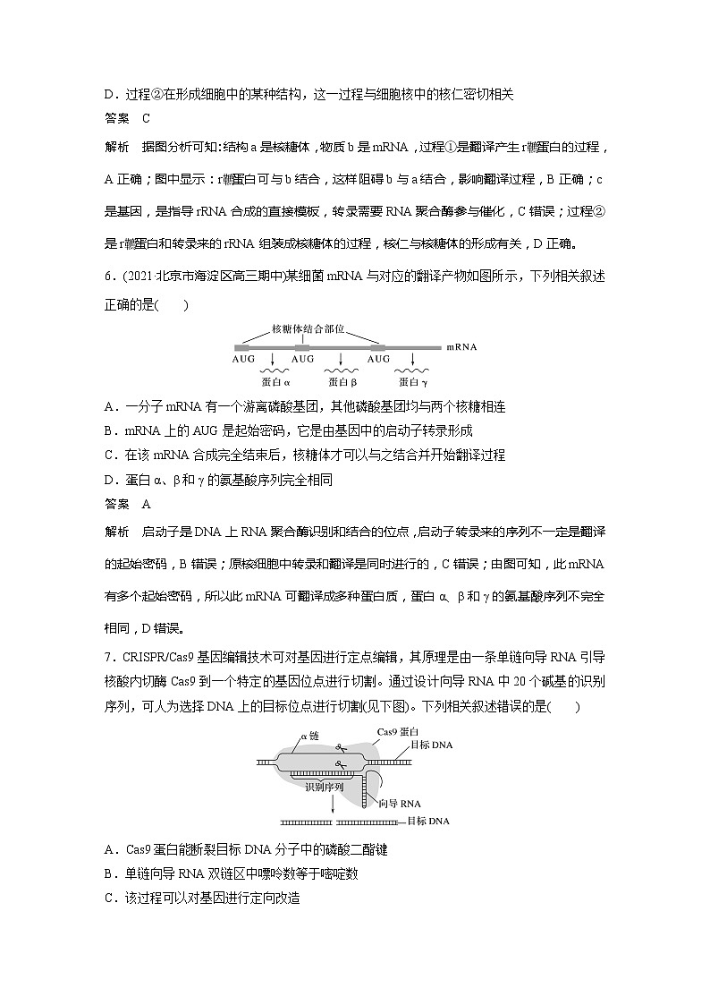 2022届高考生物一轮复习专题训练47　透析真核细胞与原核细胞基因的表达机制　（解析版）第3页