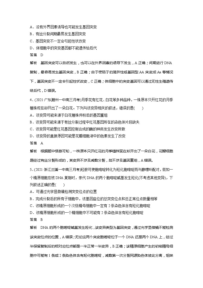 2022届高考生物一轮复习专题训练49　透析基因突变和基因重组的本质（解析版）第2页
