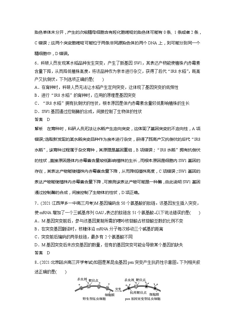 2022届高考生物一轮复习专题训练49　透析基因突变和基因重组的本质（解析版）第3页