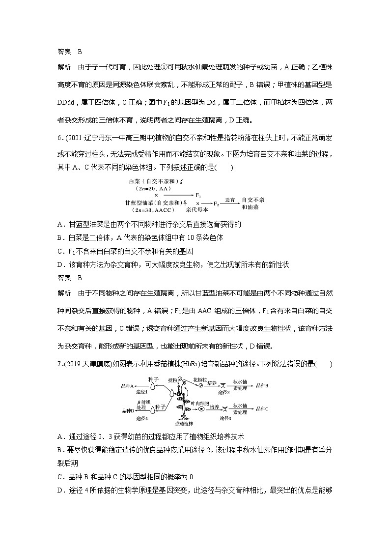 2022届高考生物一轮复习专题训练52　梳理生物育种的原理及方法　（解析版）第3页