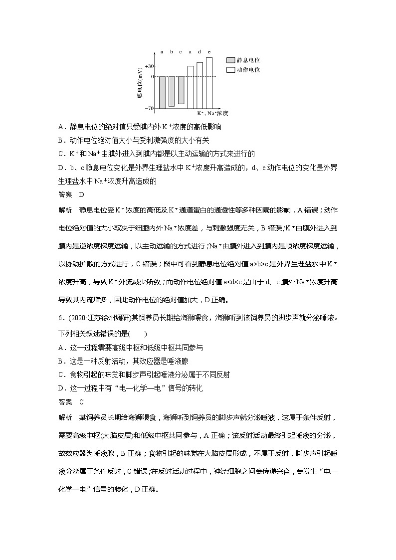 2022届高考生物一轮复习专题训练56　理解反射弧的组成及兴奋的传导与传递（解析版）第3页