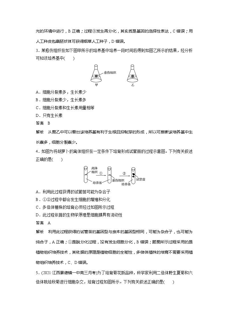 2022届高考生物一轮复习专题训练76　理解植物细胞工程的原理和应用（解析版）第2页