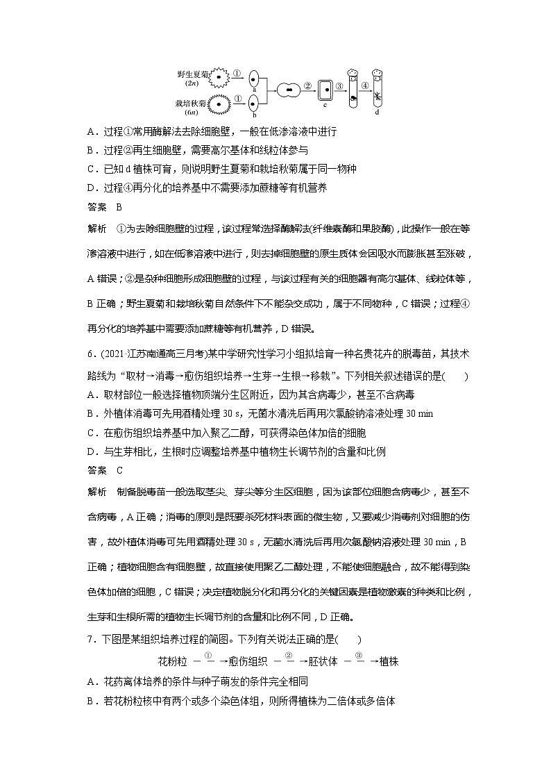 2022届高考生物一轮复习专题训练76　理解植物细胞工程的原理和应用（解析版）第3页