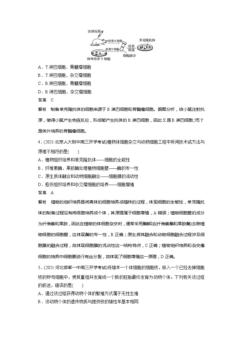 2022届高考生物一轮复习专题训练77　理解动物细胞工程的原理和应用（解析版）第2页