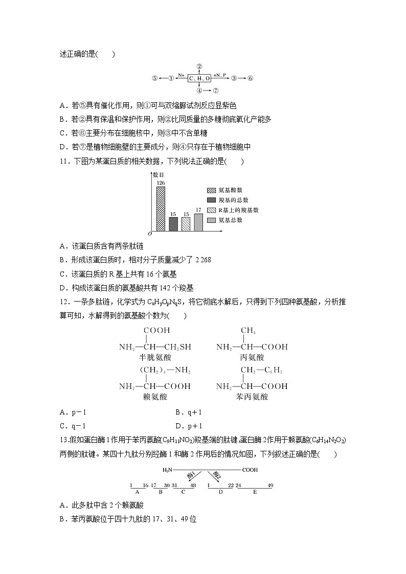 2022届高考生物一轮复习单元过关检测一　细胞的概述及其分子组成【解析版】第3页