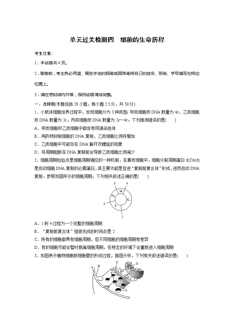 2022届高考生物一轮复习单元过关检测四　细胞的生命历程【解析版】第1页