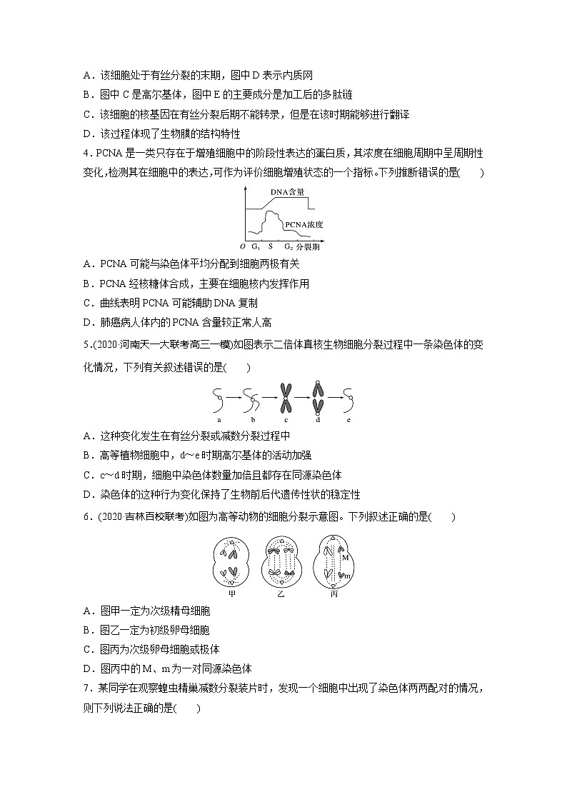 2022届高考生物一轮复习单元过关检测四　细胞的生命历程【解析版】第2页
