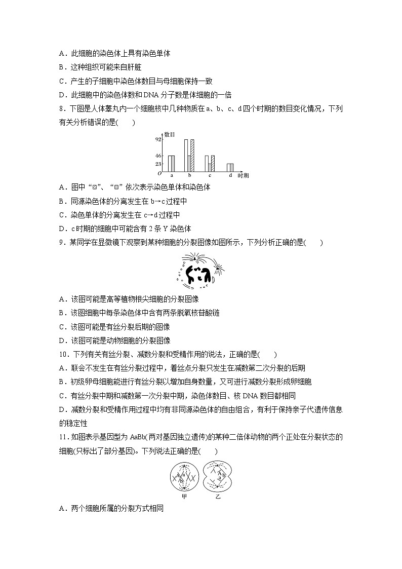 2022届高考生物一轮复习单元过关检测四　细胞的生命历程【解析版】第3页