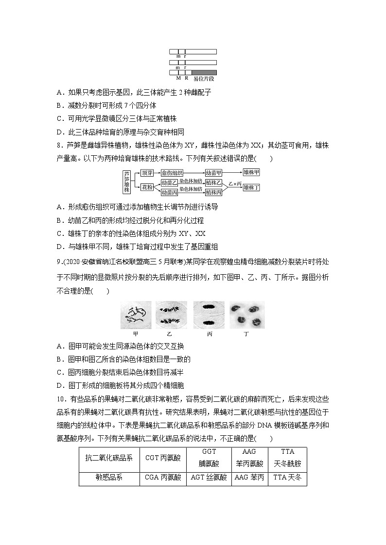 2022届高考生物一轮复习单元过关检测七　生物的变异、育种和进化【解析版】第3页