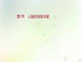 新教材高中生物第2章神经调节第5节人脑的高级功能课件新人教版选择性必修第一册