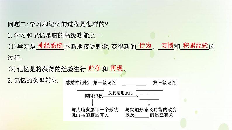 新教材高中生物第2章神经调节第5节人脑的高级功能课件新人教版选择性必修第一册04