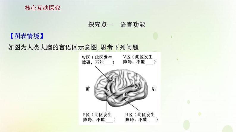 新教材高中生物第2章神经调节第5节人脑的高级功能课件新人教版选择性必修第一册07